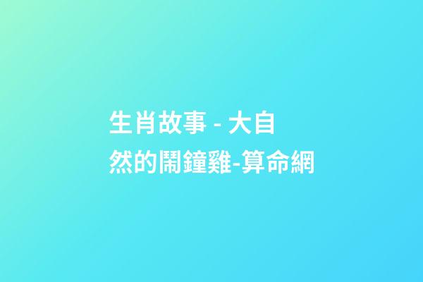 生肖故事 - 大自然的鬧鐘雞-算命網